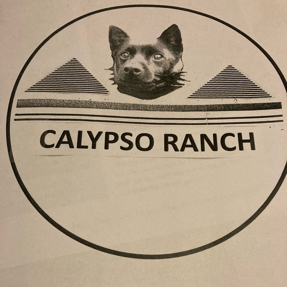 carolinelsaliba